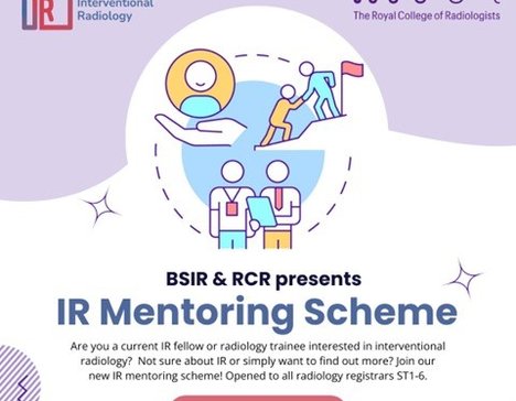 BSIR Mentoring Scheme